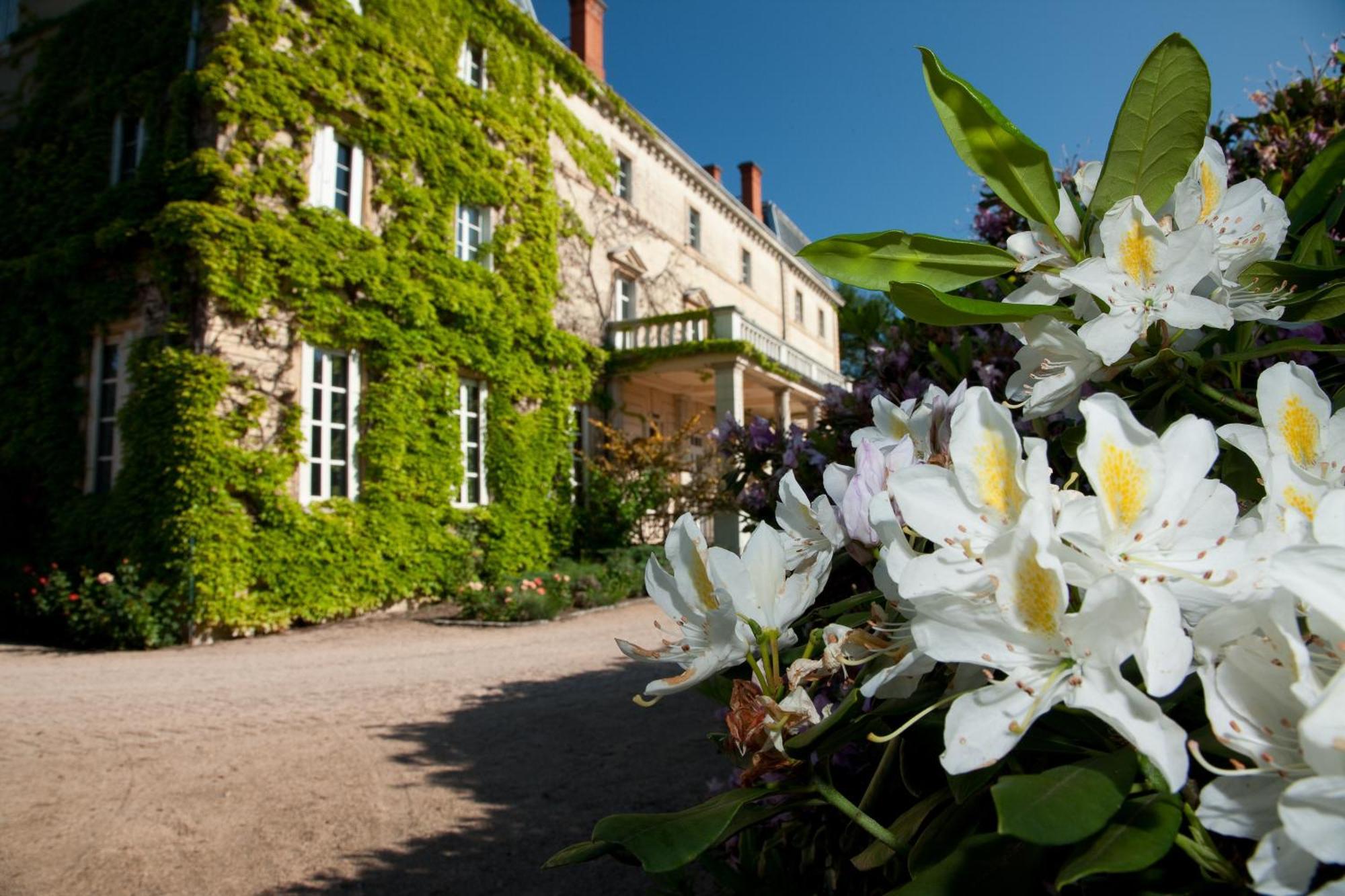 Chateau De Bellevue B&B Villié-Morgon Exteriör bild