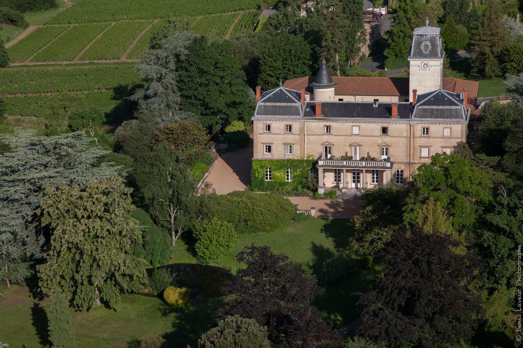 Chateau De Bellevue B&B Villié-Morgon Exteriör bild